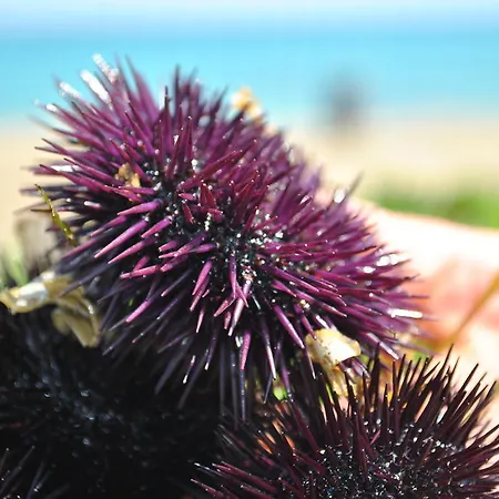 Apartmán Appartamenti San Foca San Foca